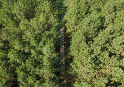 386 AFM Herndon Dairy Tract Photo 12