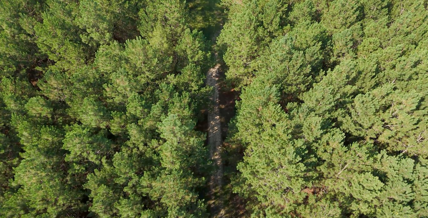 386 AFM Herndon Dairy Tract Photo 12