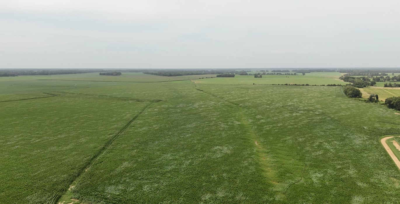 386 DJI 20250618152146 0178 D