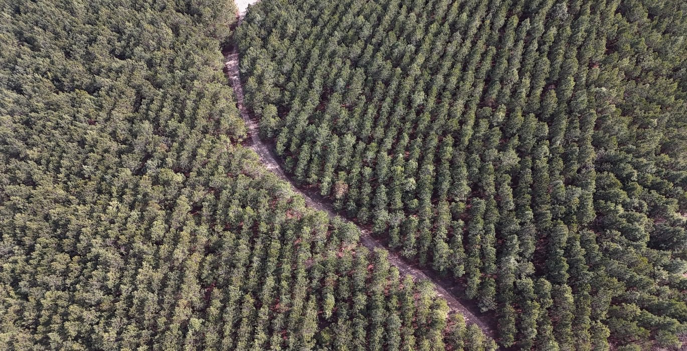 387 DJI 20260129131424 0137 D