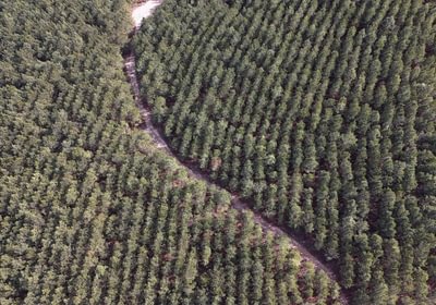 387 DJI 20260129131424 0137 D