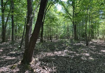 387 IMG 0139