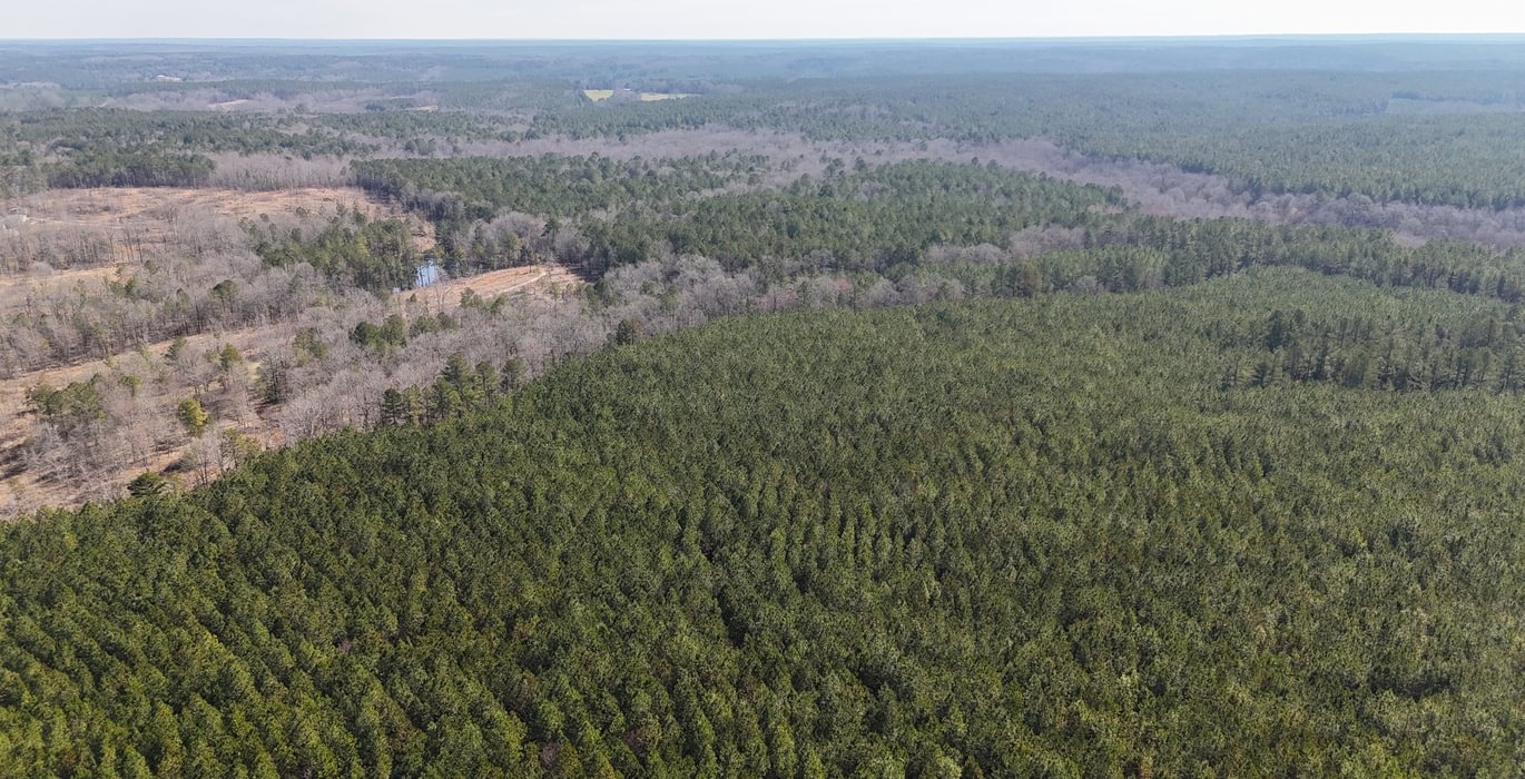 388 DJI 20250224105618 0004 D