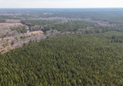 388 DJI 20250224105618 0004 D