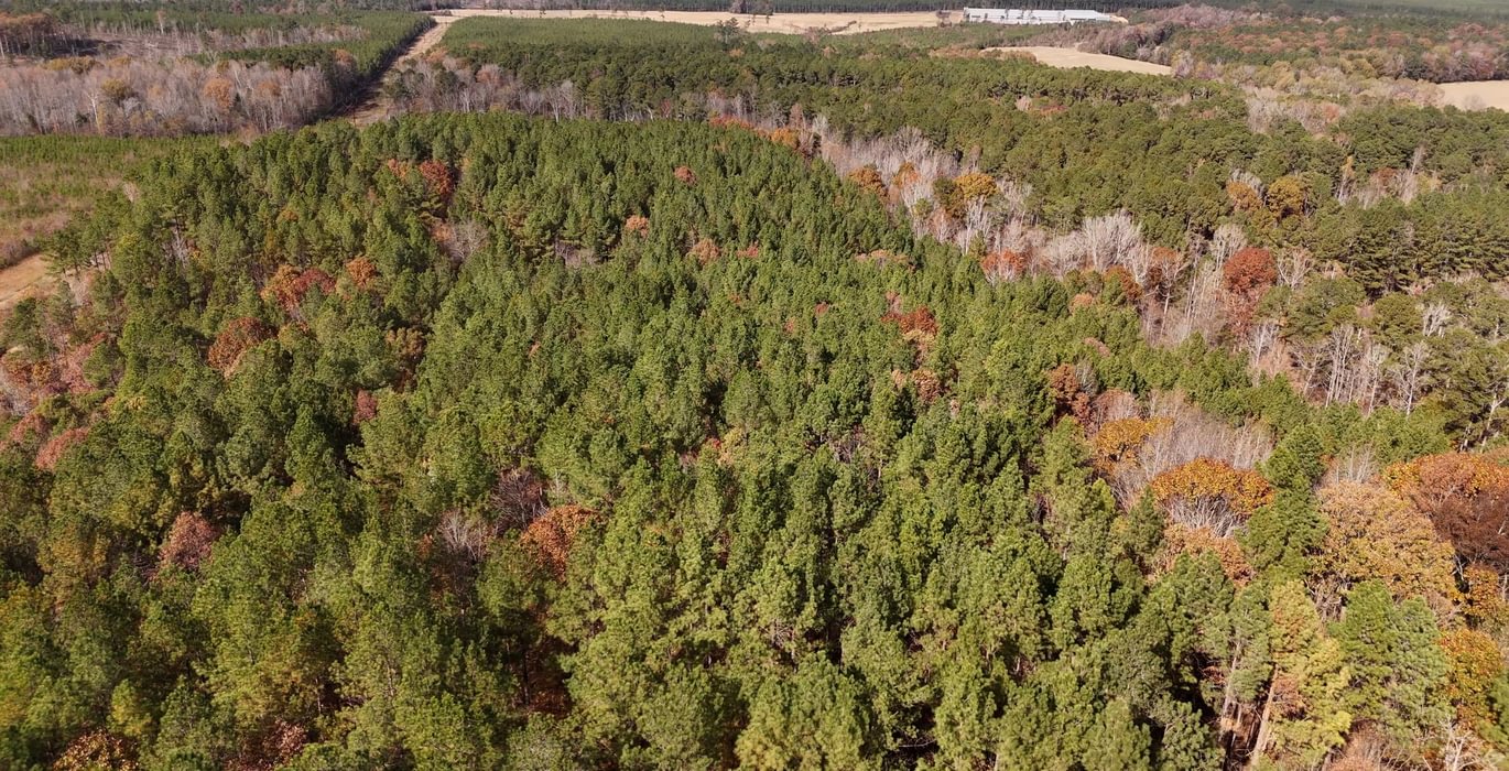 389 AFM Crump Farm Photo 7