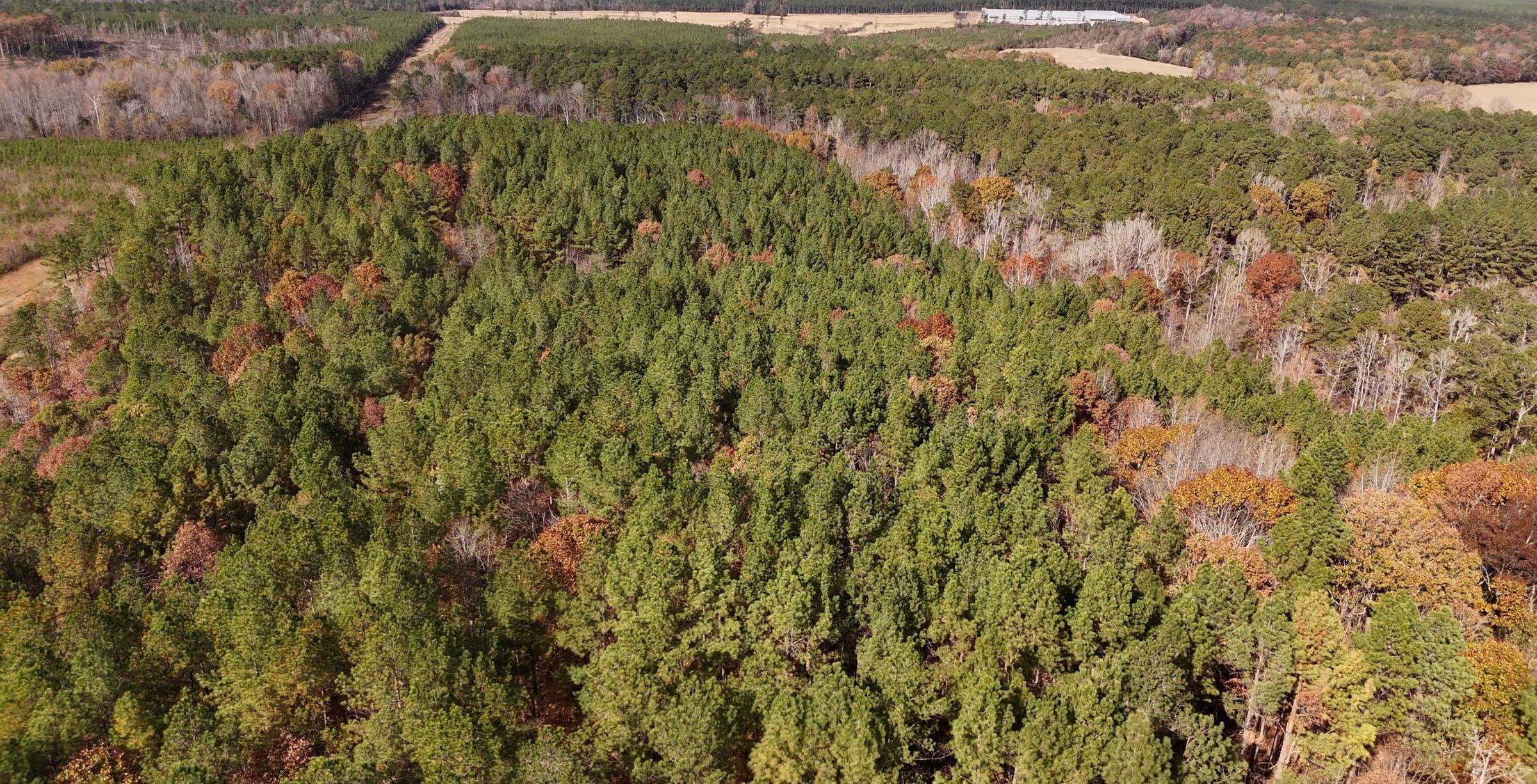 389 AFM Crump Farm Photo 7
