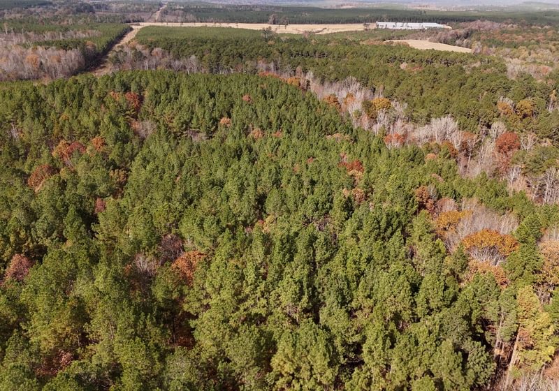 389 AFM Crump Farm Photo 7