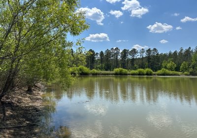 38 IMG 01821