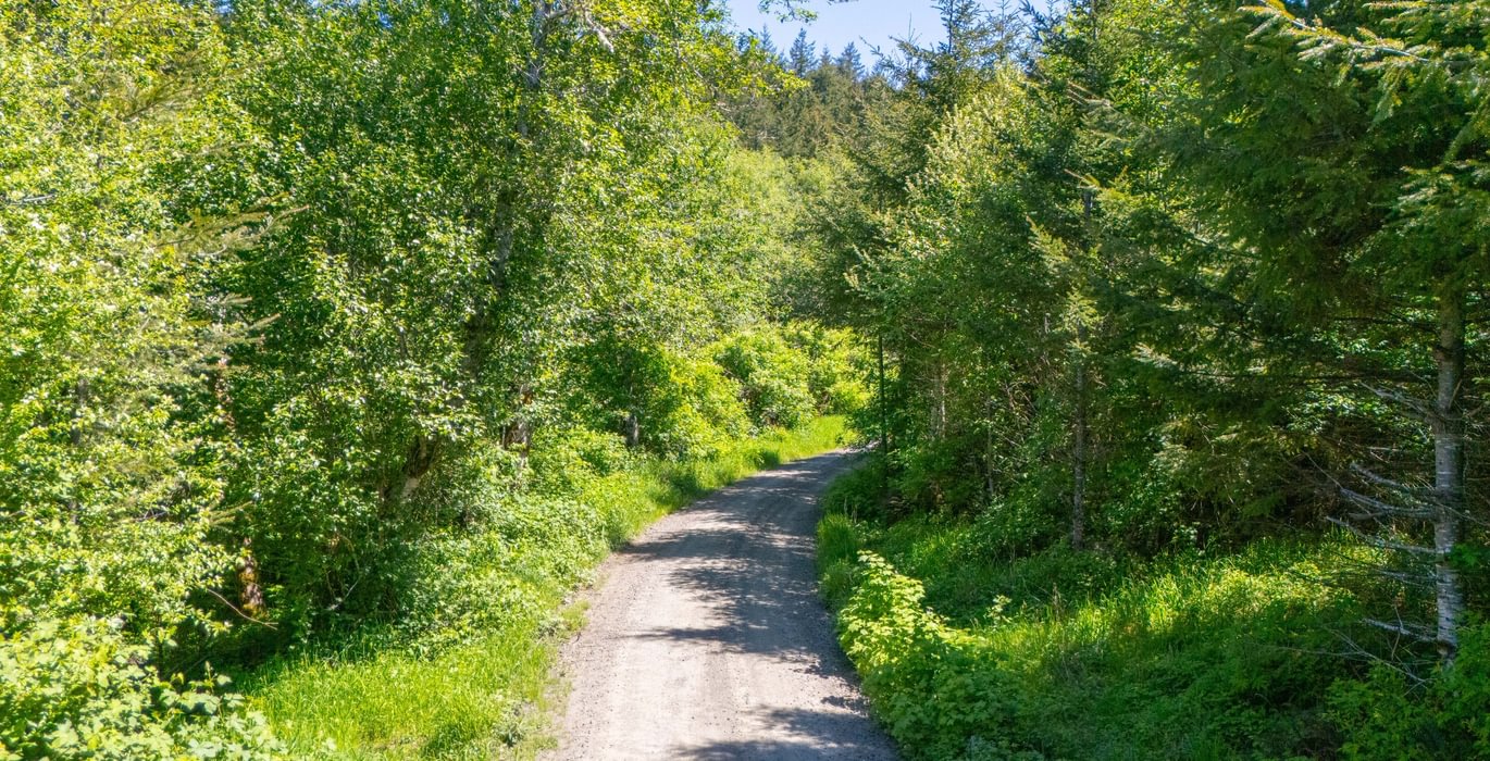38 Road 4
