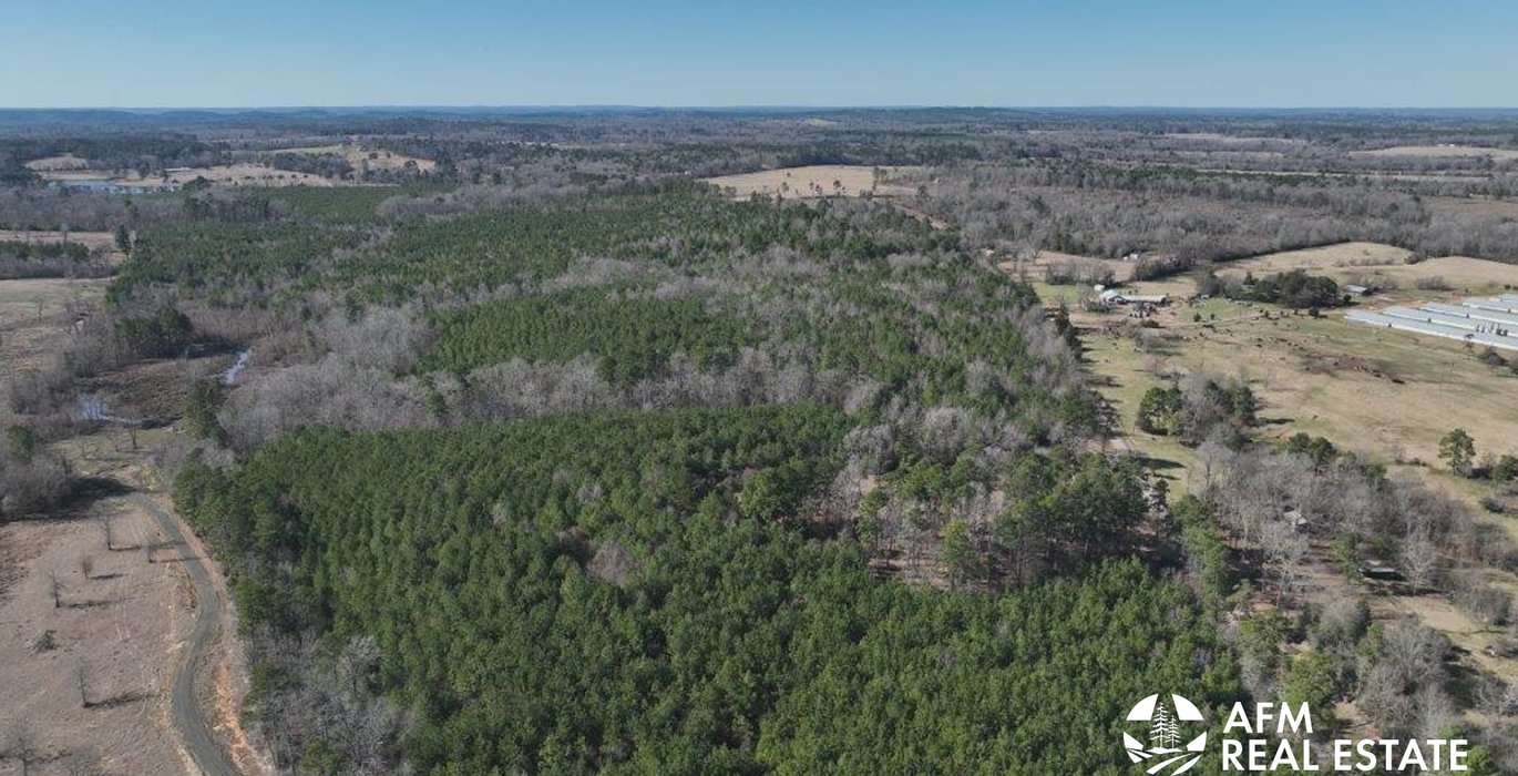 390 DJI 20250201142509 0005 V