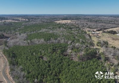 390 DJI 20250201142509 0005 V