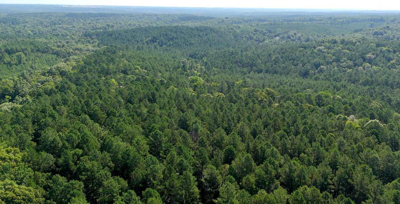 390 Enoree Creek Photo 12