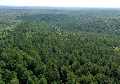 390 Enoree Creek Photo 12