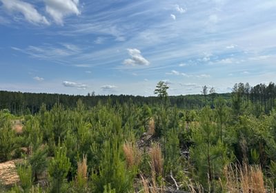 390 IMG 0743