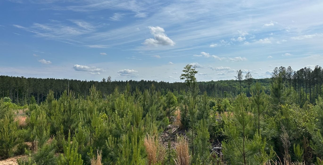 390 IMG 0743
