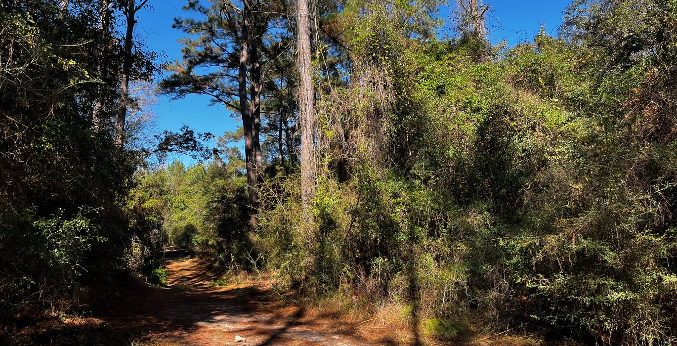 390 Road through property
