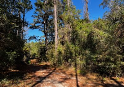 390 Road through property