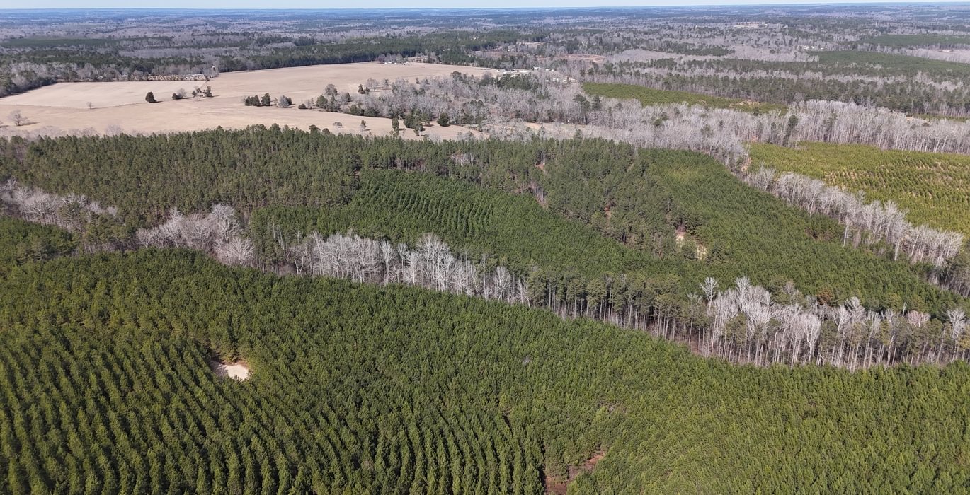 391 DJI 20260129131549 0140 D