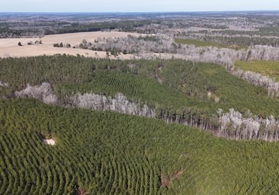 391 DJI 20260129131549 0140 D