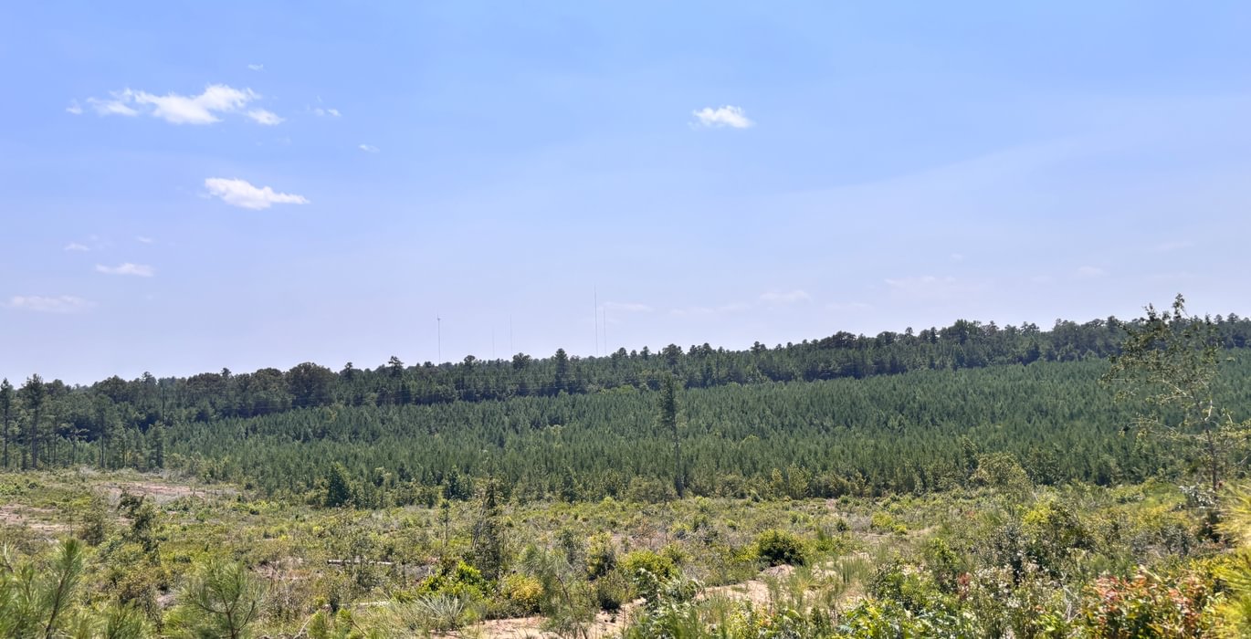 391 IMG 7312