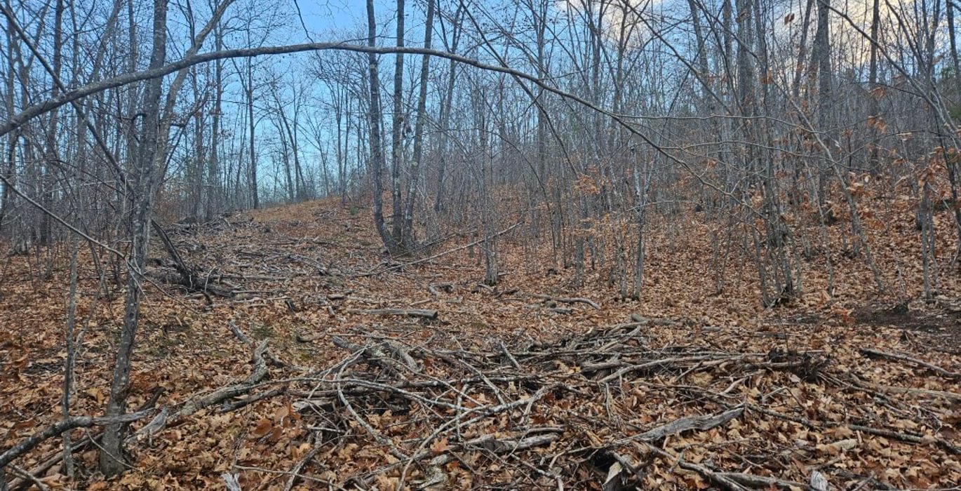 392 old trail