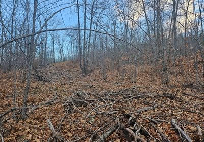 392 old trail