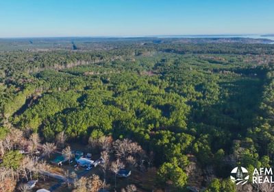 393 DJI 20250201080526 0026 V