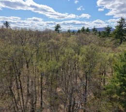 393 Highland drone JPG
