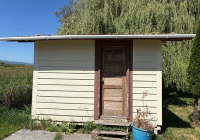 393 IMG 1342