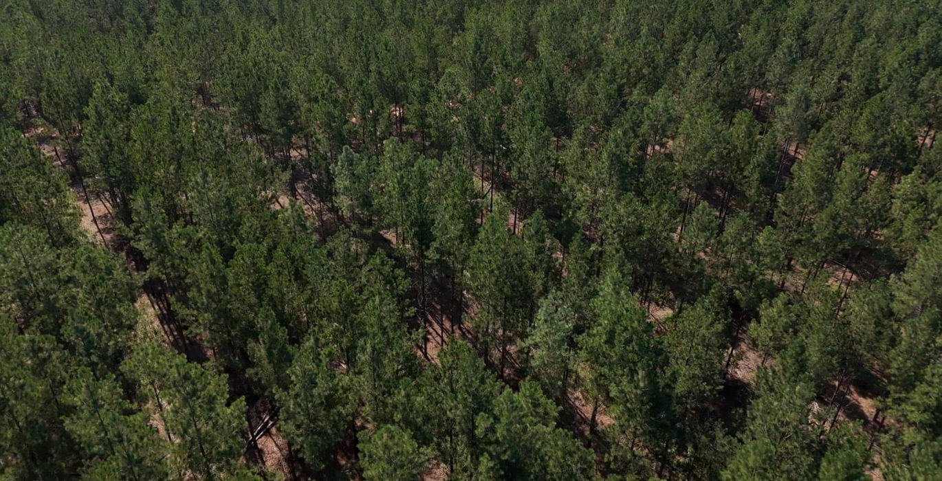 394 Cabin Creek Photo 19
