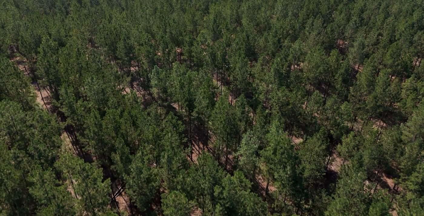 394 Cabin Creek Photo 19