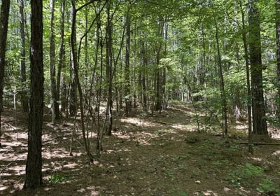 394 IMG 5823