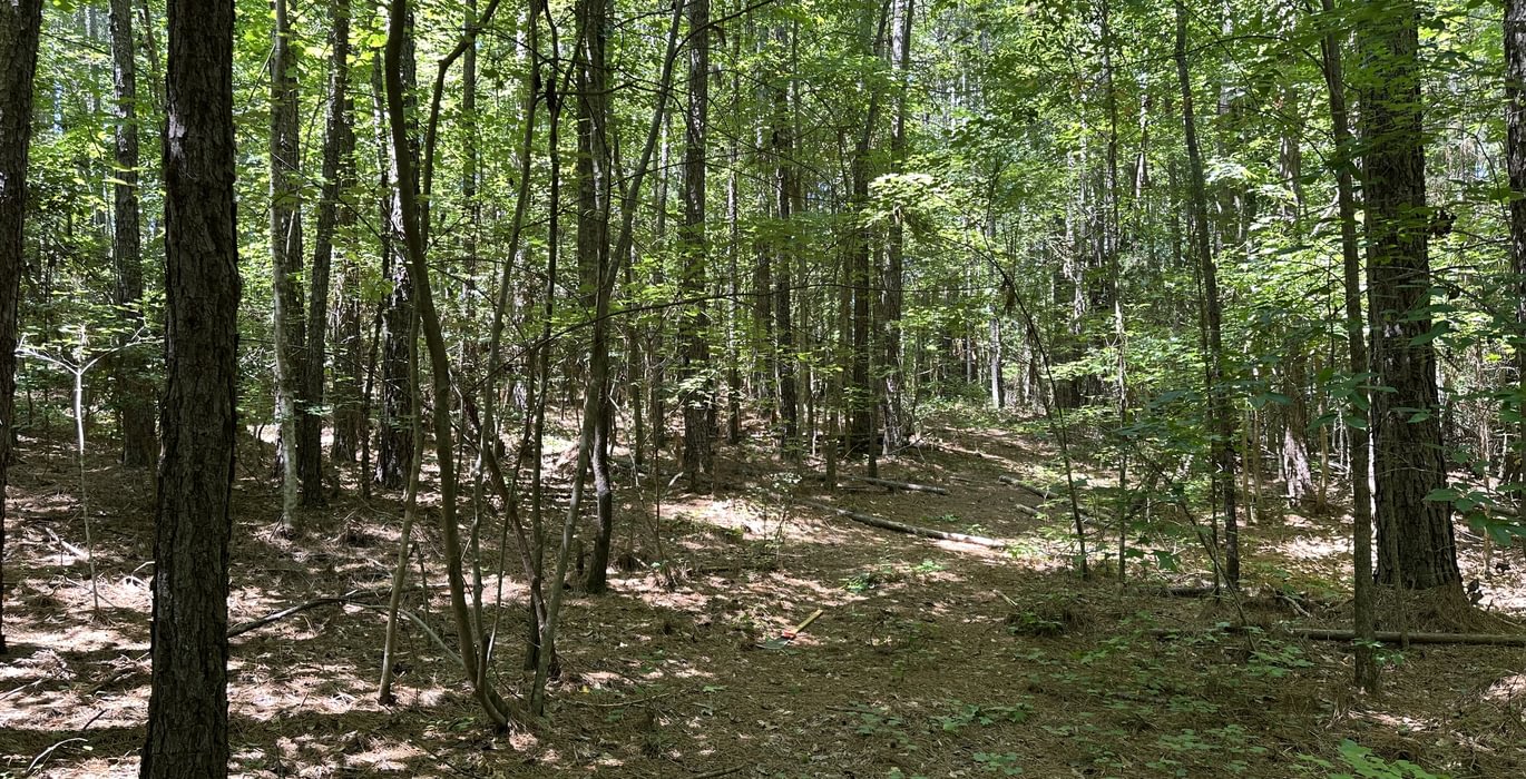 394 IMG 5823