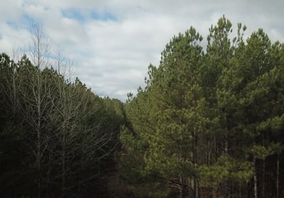395 DJI 0045
