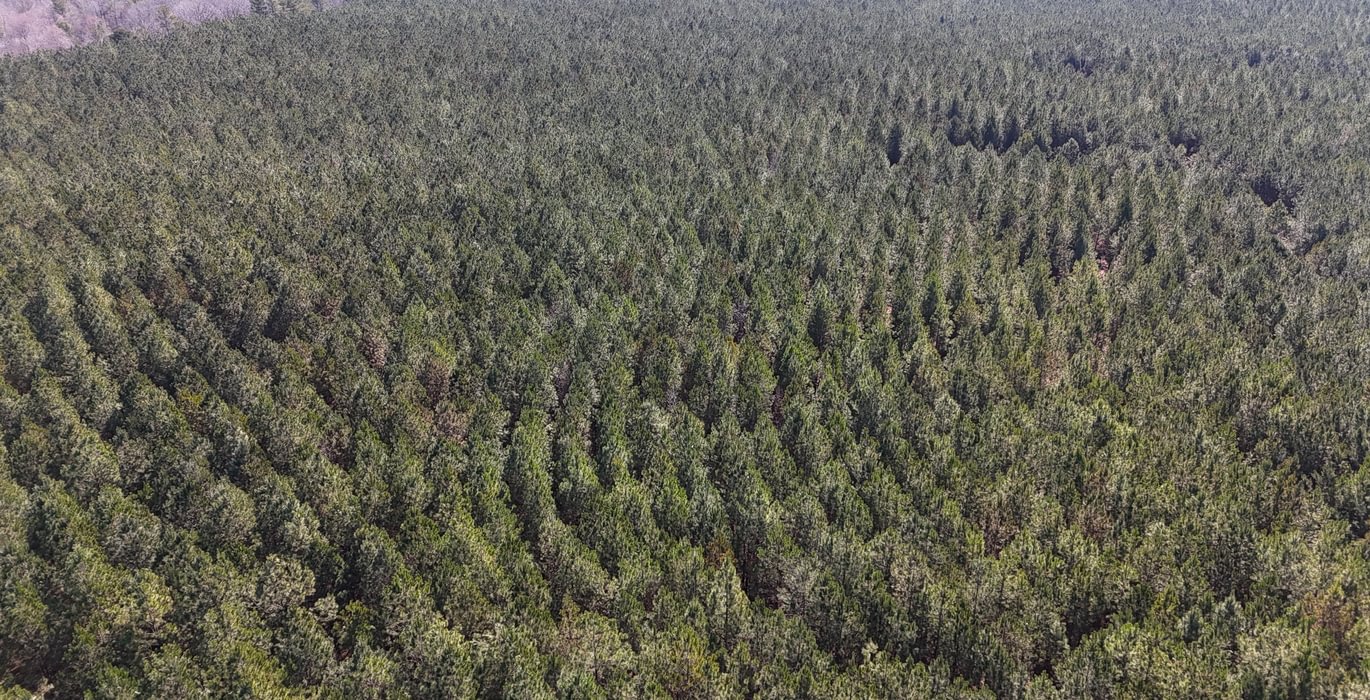 396 DJI 20250224105507 0001 D