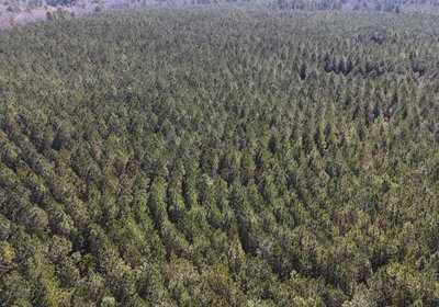 396 DJI 20250224105507 0001 D