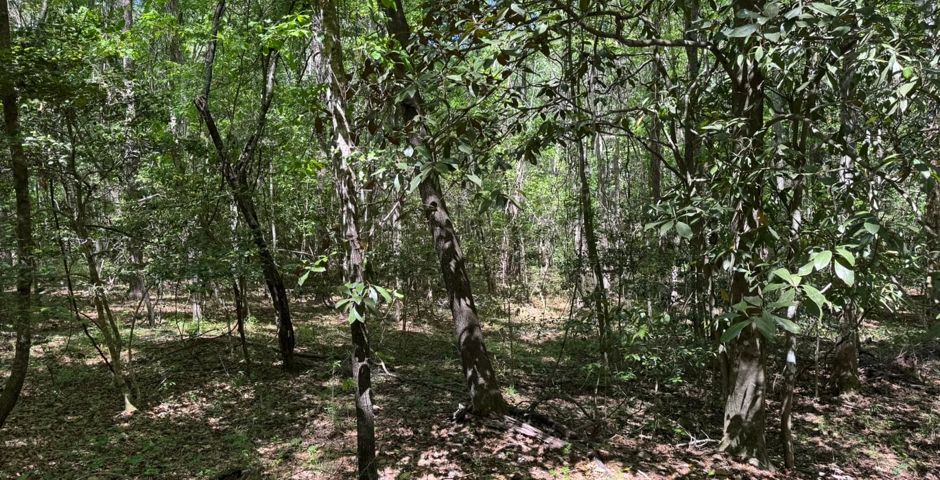 396 IMG 4256 Copy Copy