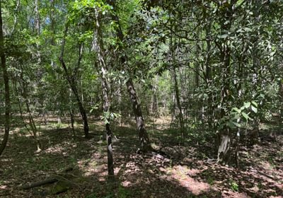 396 IMG 4256 Copy Copy