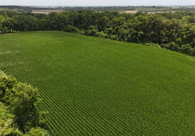 397 DJI 20250618144416 0163 D