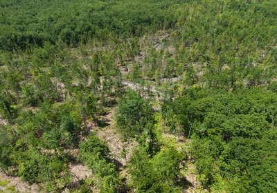 397 cutover