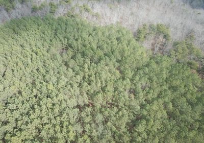 398 DJI 0086