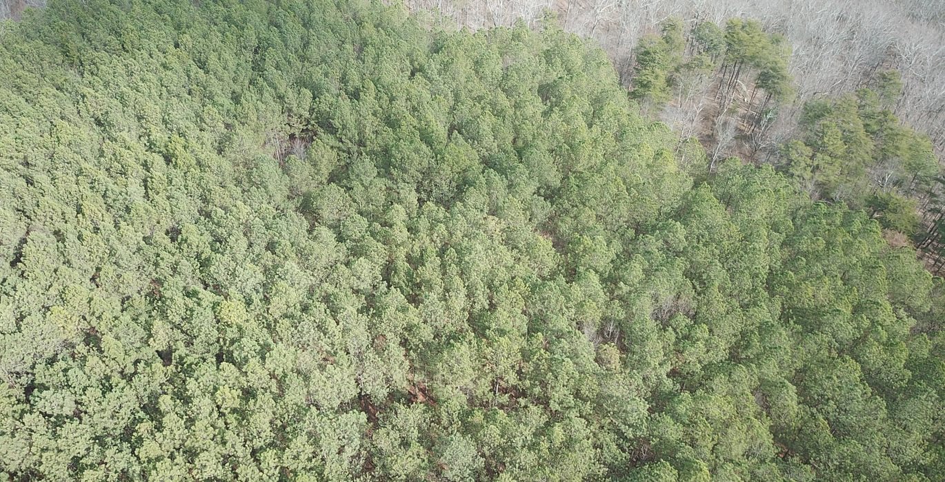 398 DJI 0086