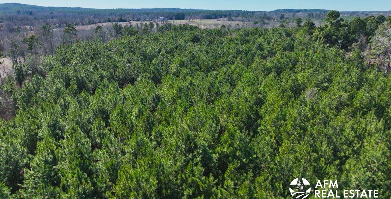 398 DJI 20250201142916 0026 V