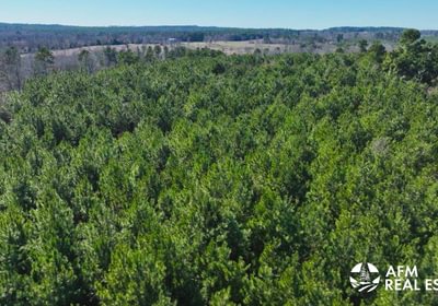 398 DJI 20250201142916 0026 V