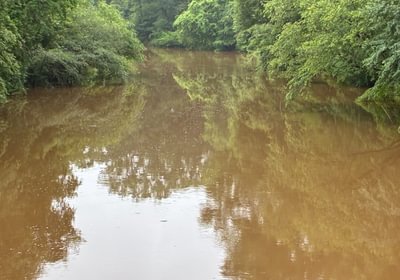398 IMG 5122