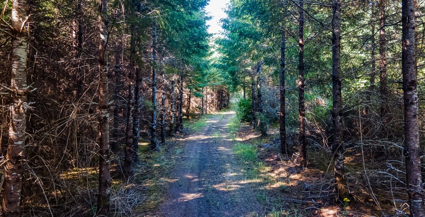 39 DJI 0023 HDR25