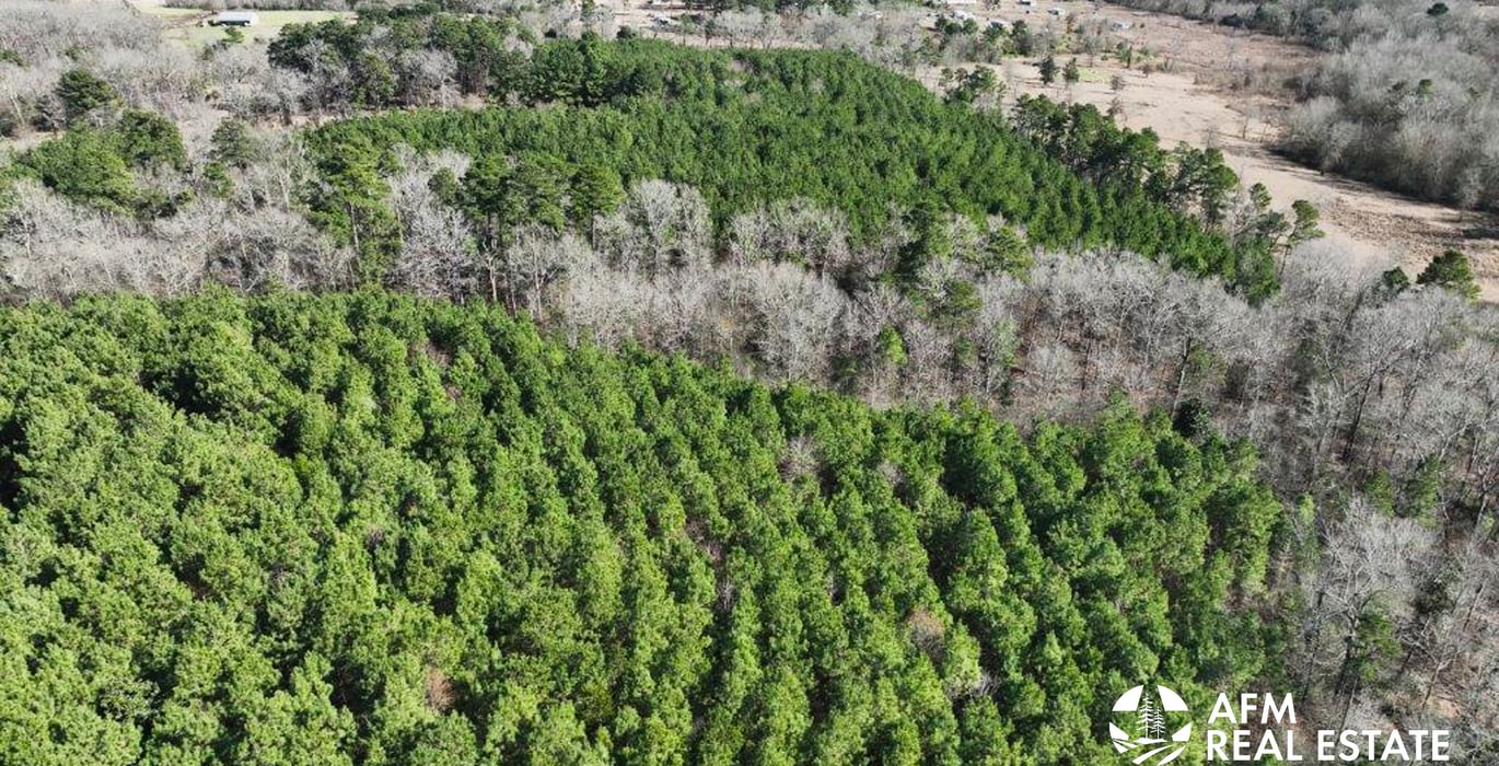 39 DJI 20250201142744 0016 V