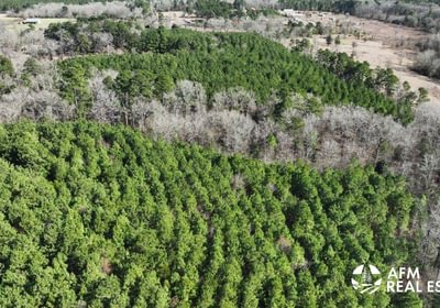 39 DJI 20250201142744 0016 V