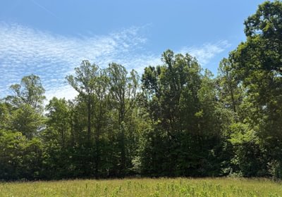 39 IMG 5391