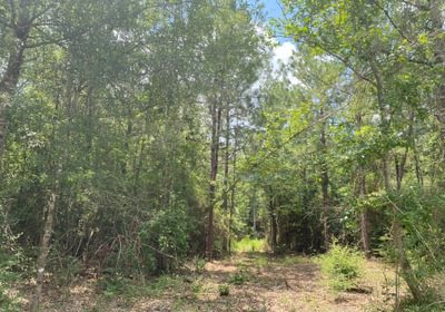 Tract 6 10
